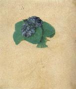 Albrecht Durer A Nosegay of Violets USA oil painting reproduction